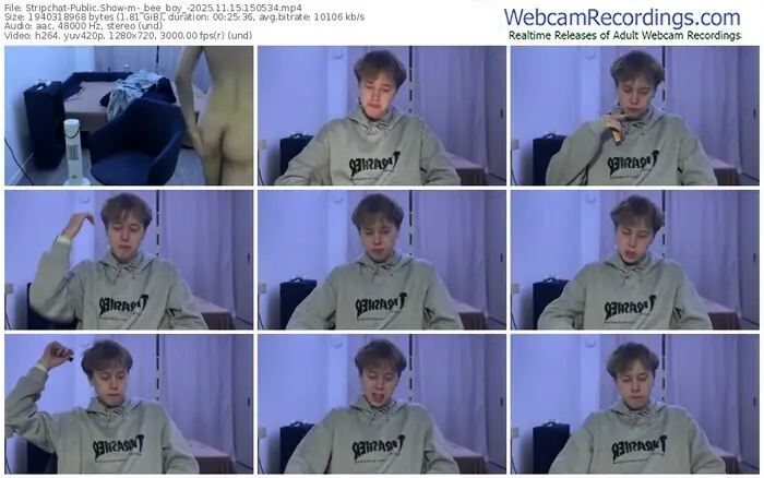 2025/11/15/stripchat-_bee_boy_-15-05-34