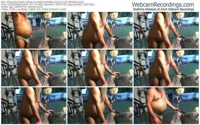 2025/11/15/stripchat-herbie010666-08-44-50