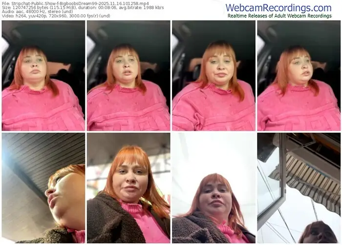 2025/11/16/stripchat-bigboobsdream99-10-12-58