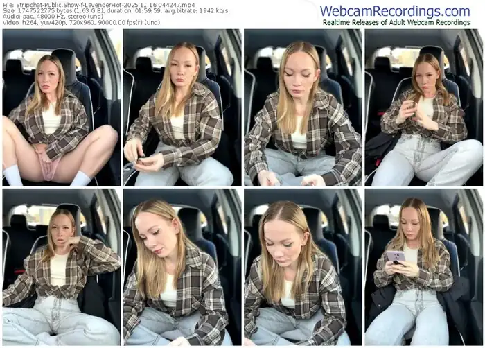 2025/11/16/stripchat-lavenderhot-04-42-47