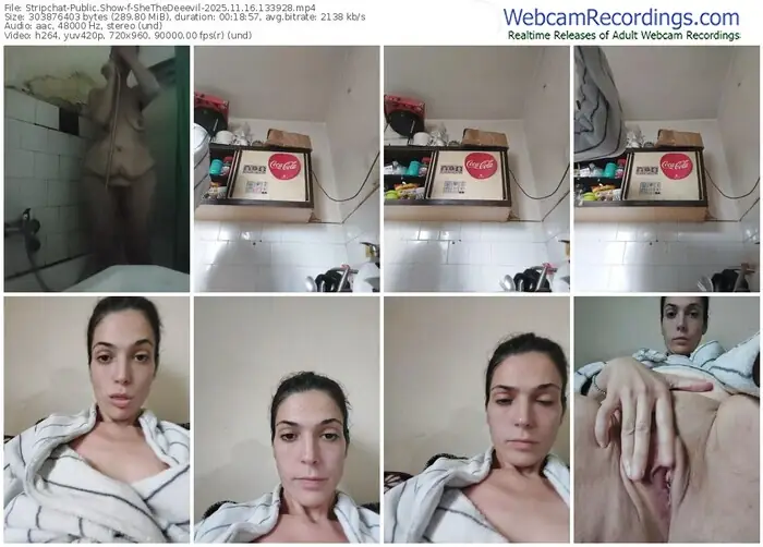 2025/11/16/stripchat-shethedeeevil-13-39-28