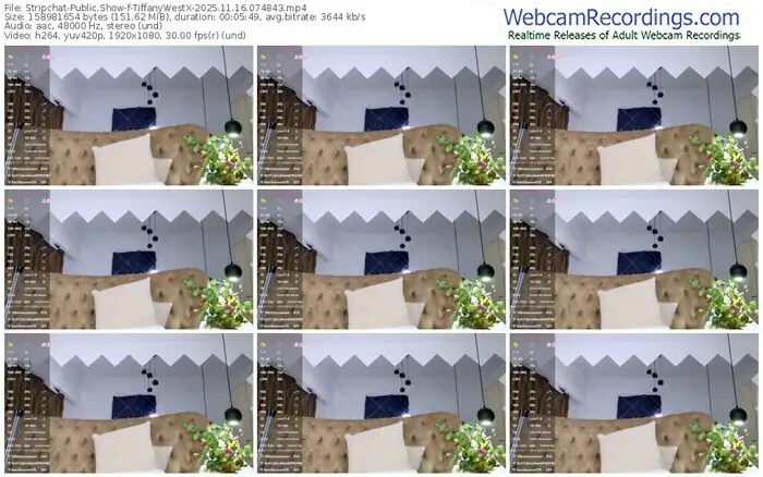 2025/11/16/stripchat-tiffanywestx-07-48-43