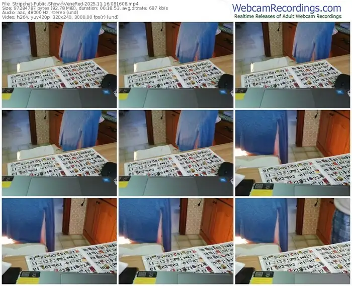 2025/11/16/stripchat-venered-08-16-08