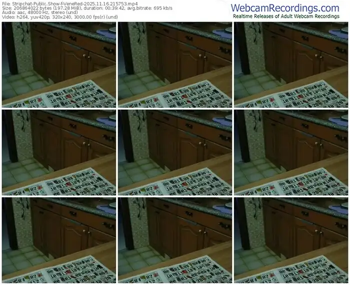 2025/11/16/stripchat-venered-21-57-53