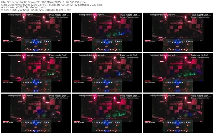 2025/11/16/stripchat-wir2002paar-00-50-32