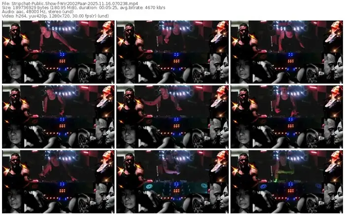 2025/11/16/stripchat-wir2002paar-07-02-38