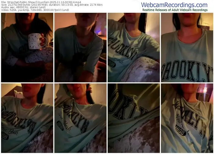 2025/11/16/stripchat-xlucillex-00-36-14