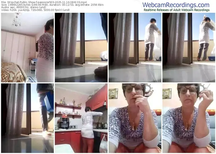 2025/11/16/stripchat-passione503-08-41-33