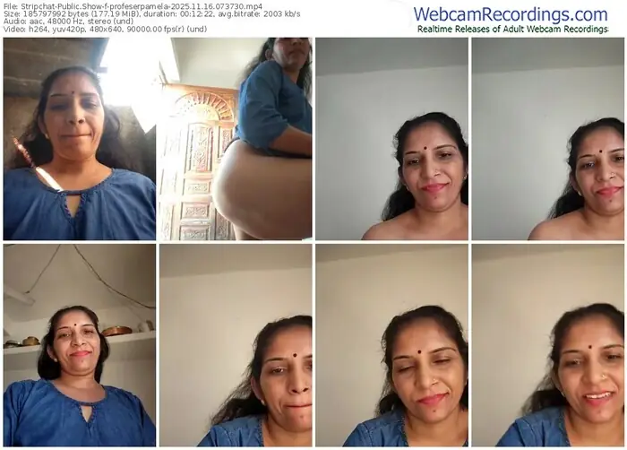 2025/11/16/stripchat-profeserpamela-07-37-30