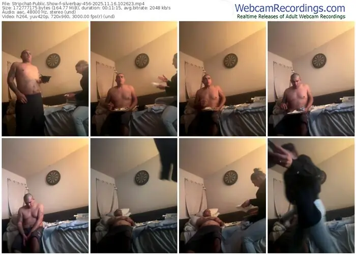 2025/11/16/stripchat-silverbay-456-10-26-23