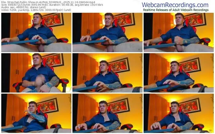 2025/11/16/stripchat-alpha_dominus_-09-40-44