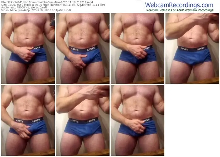 2025/11/16/stripchat-alphagymmale-01-35-12