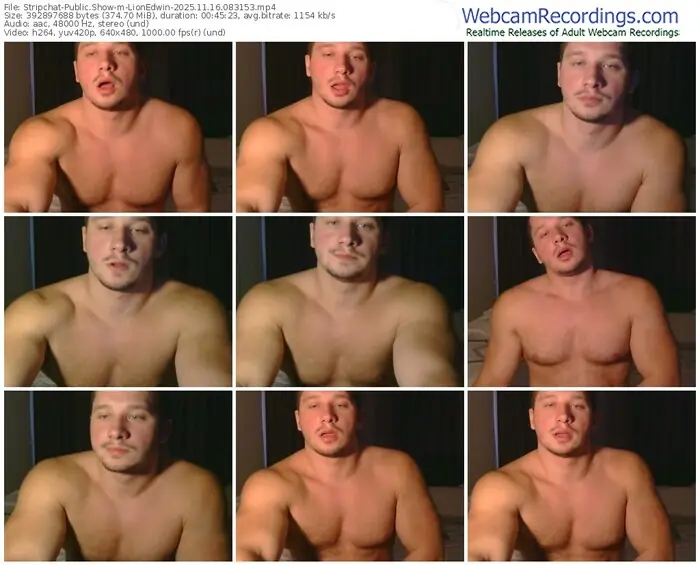 2025/11/16/stripchat-lionedwin-08-31-53