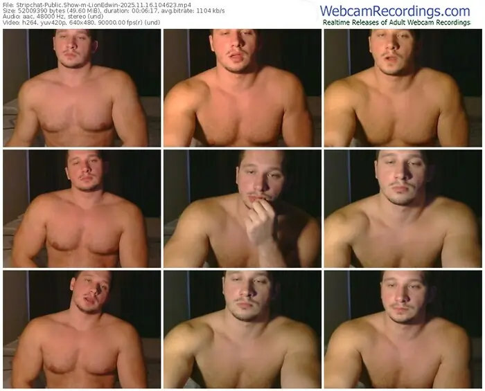 2025/11/16/stripchat-lionedwin-10-46-23