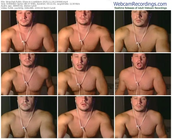 2025/11/16/stripchat-lionedwin-13-06-46