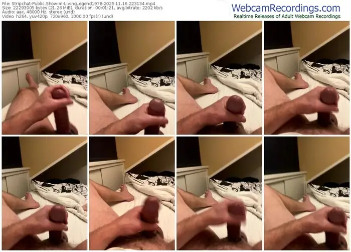 2025/11/16/stripchat-livinglegend1978-22-31-34