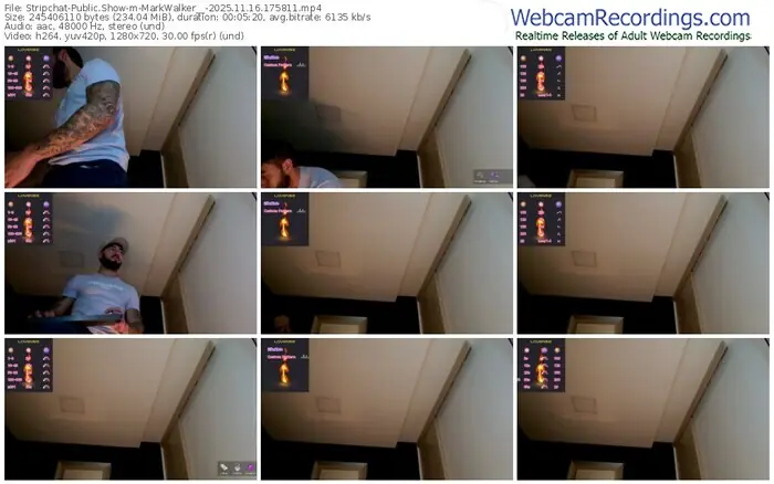 2025/11/16/stripchat-markwalker__-17-58-11