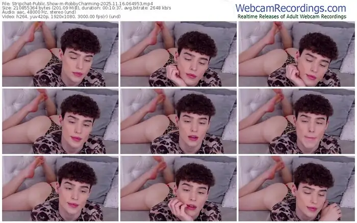 2025/11/16/stripchat-robbycharming-06-49-53