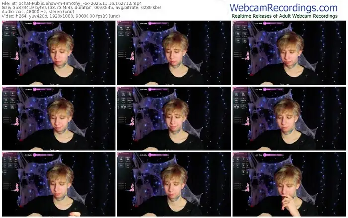 2025/11/16/stripchat-timothy_fox-16-27-12