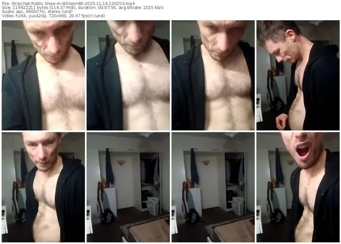 2025/11/16/stripchat-wilsonn86-10-02-53