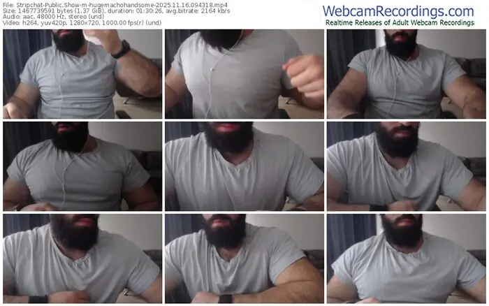 2025/11/16/stripchat-hugemachohandsome-09-43-18