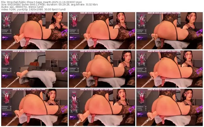 2025/11/16/stripchat-sage_heartt-03-30-37