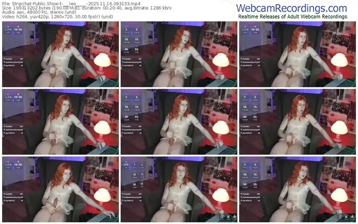 2025/11/16/stripchat-___leo_____-09-31-33