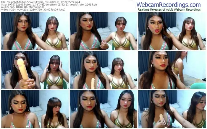 2025/11/17/stripchat-elysia_fox-02-55-39