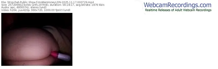 2025/11/17/stripchat-hiddenhoneyldn-00-07-29