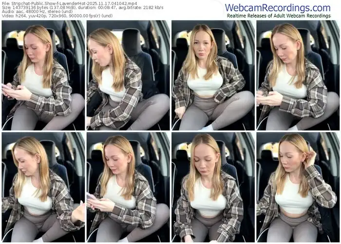 2025/11/17/stripchat-lavenderhot-04-10-42