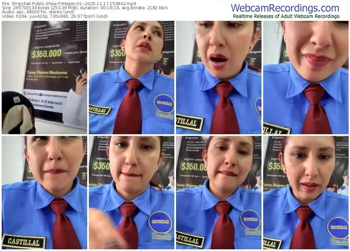 2025/11/17/stripchat-megan-01--15-38-42