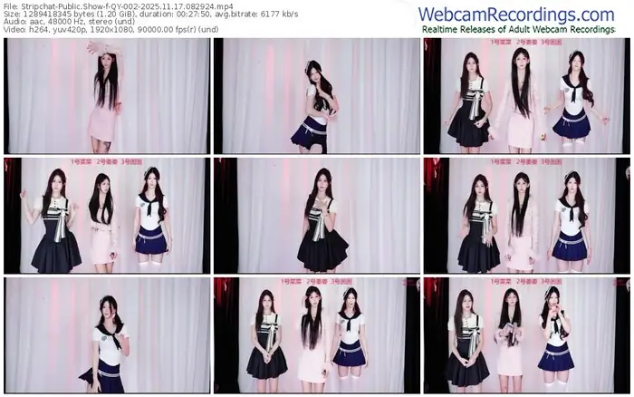 2025/11/17/stripchat-qy-002-08-29-24