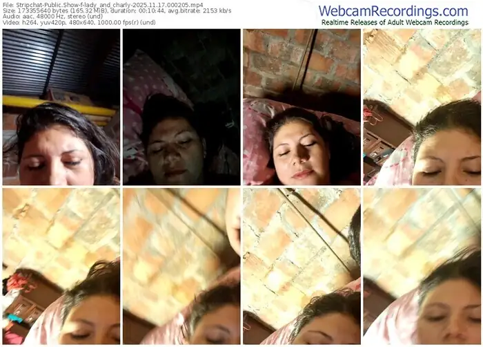 2025/11/17/stripchat-lady_and_charly-00-02-05