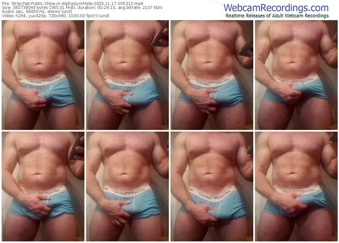 2025/11/17/stripchat-alphagymmale-00-53-12