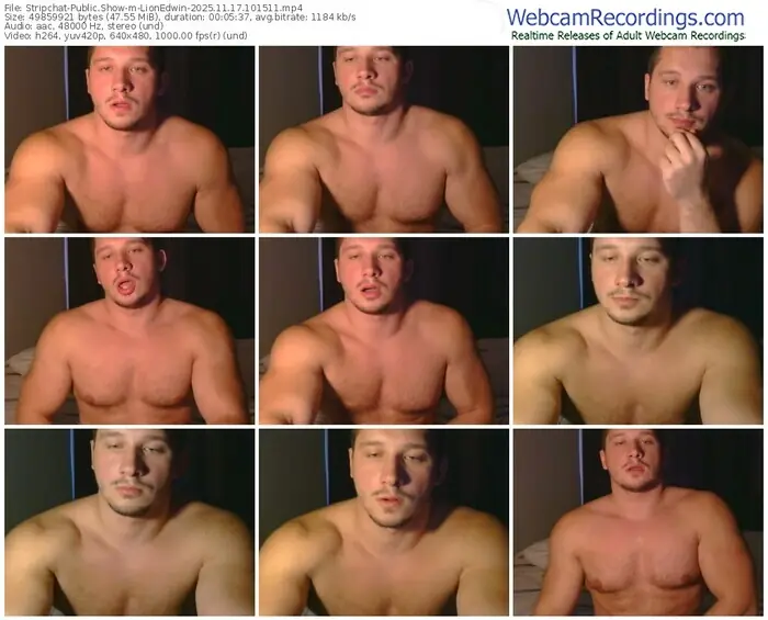 2025/11/17/stripchat-lionedwin-10-15-11