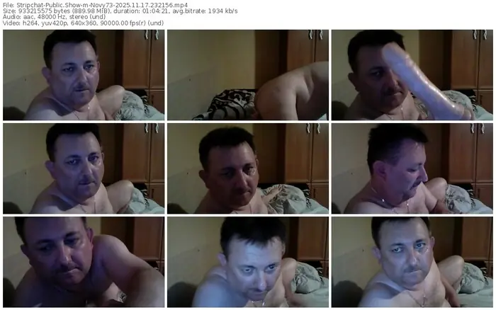 2025/11/17/stripchat-novy73-23-21-56