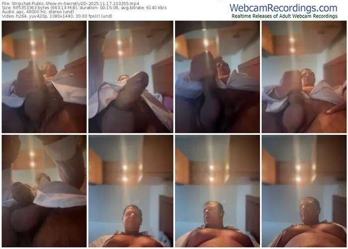 2025/11/17/stripchat-secretlydd-10-32-55