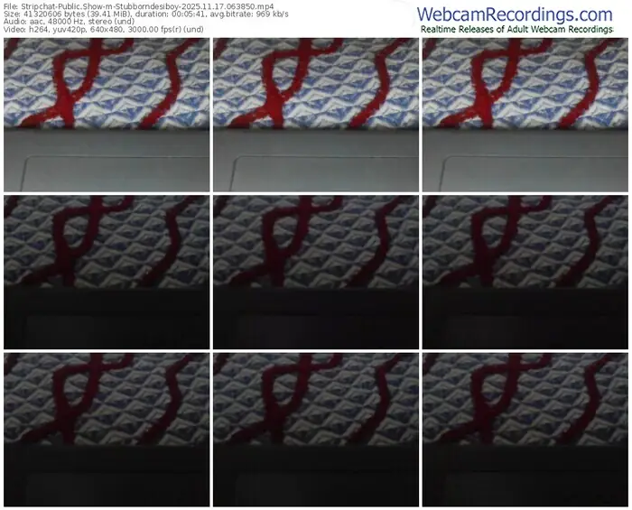 2025/11/17/stripchat-stubborndesiboy-06-38-50