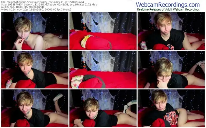 2025/11/17/stripchat-timothy_fox-15-08-29