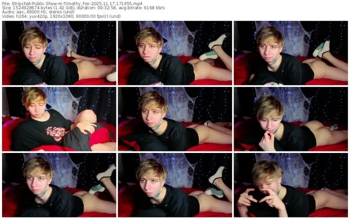 2025/11/17/stripchat-timothy_fox-17-16-55