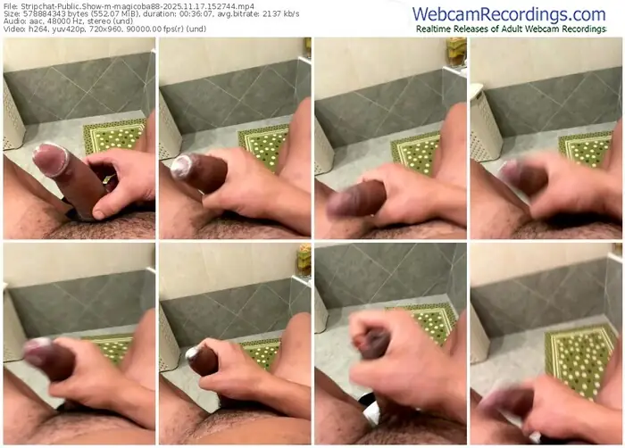 2025/11/17/stripchat-magicoba88-15-27-44