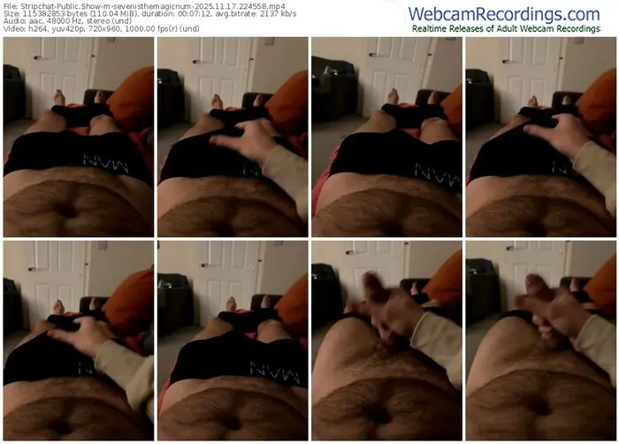 2025/11/17/stripchat-sevenisthemagicnum-22-45-58