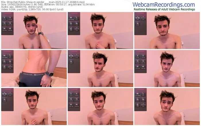 2025/11/17/stripchat-spider____man-20-48-10