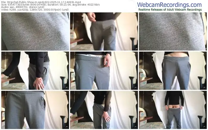 2025/11/17/stripchat-spidy922-14-49-31
