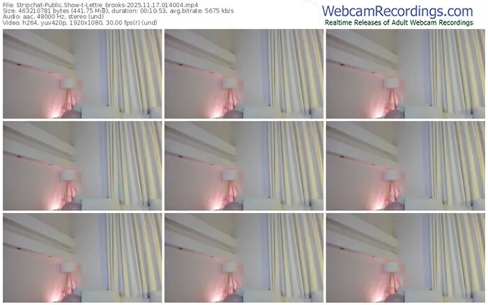 2025/11/17/stripchat-lettie_brooks-01-40-04
