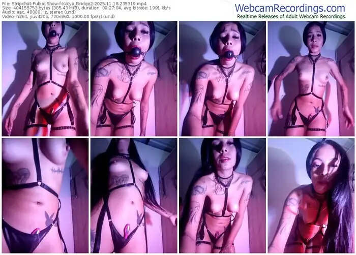 2025/11/18/stripchat-katya_bridge2-23-53-19
