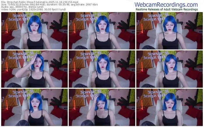 2025/11/18/stripchat-selenairis-23-11-53