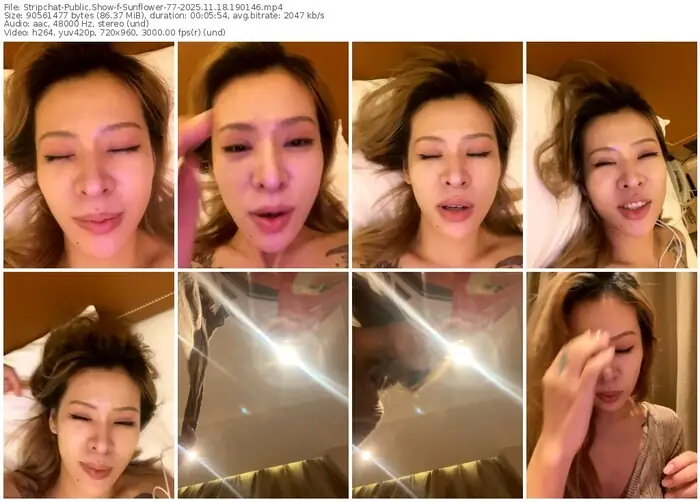 2025/11/18/stripchat-sunflower-77-19-01-46