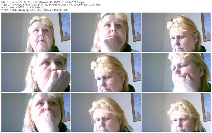 2025/11/18/stripchat-sylviastar46-10-06-20