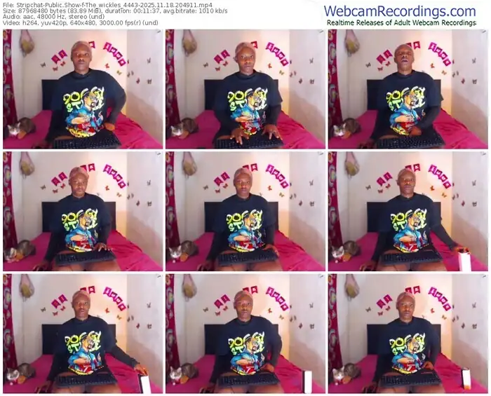 2025/11/18/stripchat-the_wickles_4443-20-49-11